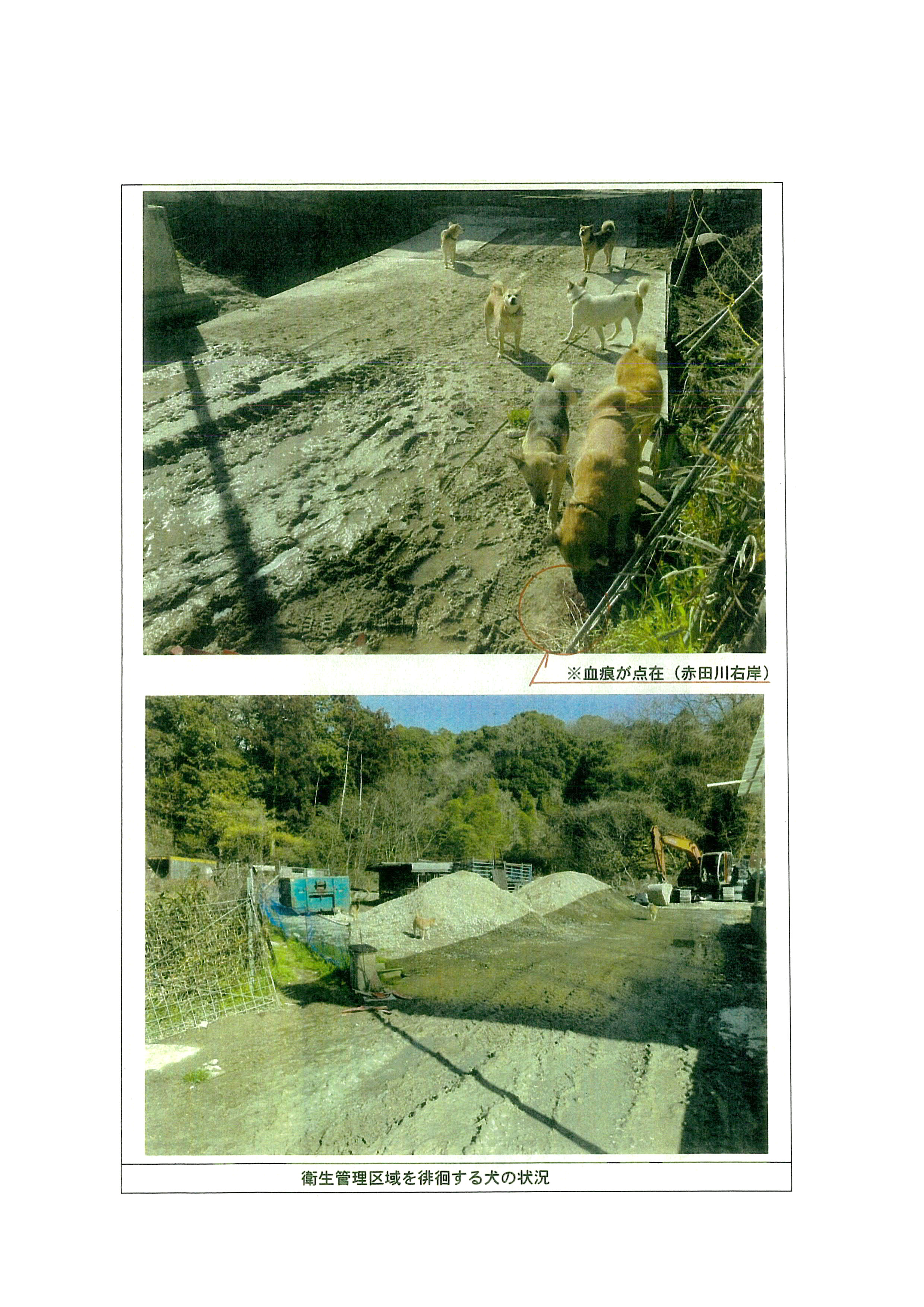 令和6(2024)年2月28日-(株)村田商店による道路占用及び道路使用の状況確認-05 令和6(2024)年2月28日-(株)村田商店による道路占用及び道路使用の状況確認-05